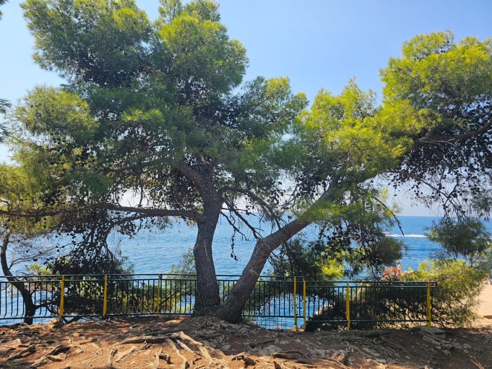 App Letta Sunset Pula Apartment Bagian luar foto
